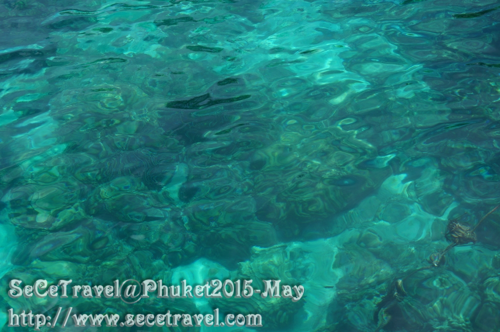 SeCeTravel-20150509-Puket-70