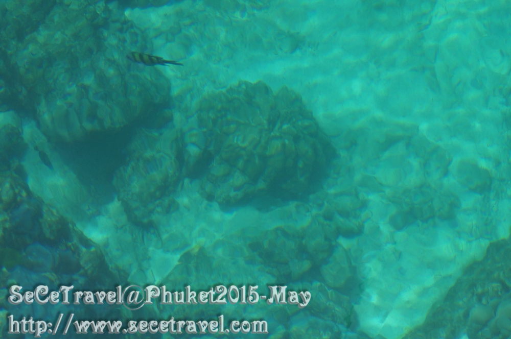 SeCeTravel-20150509-Puket-71