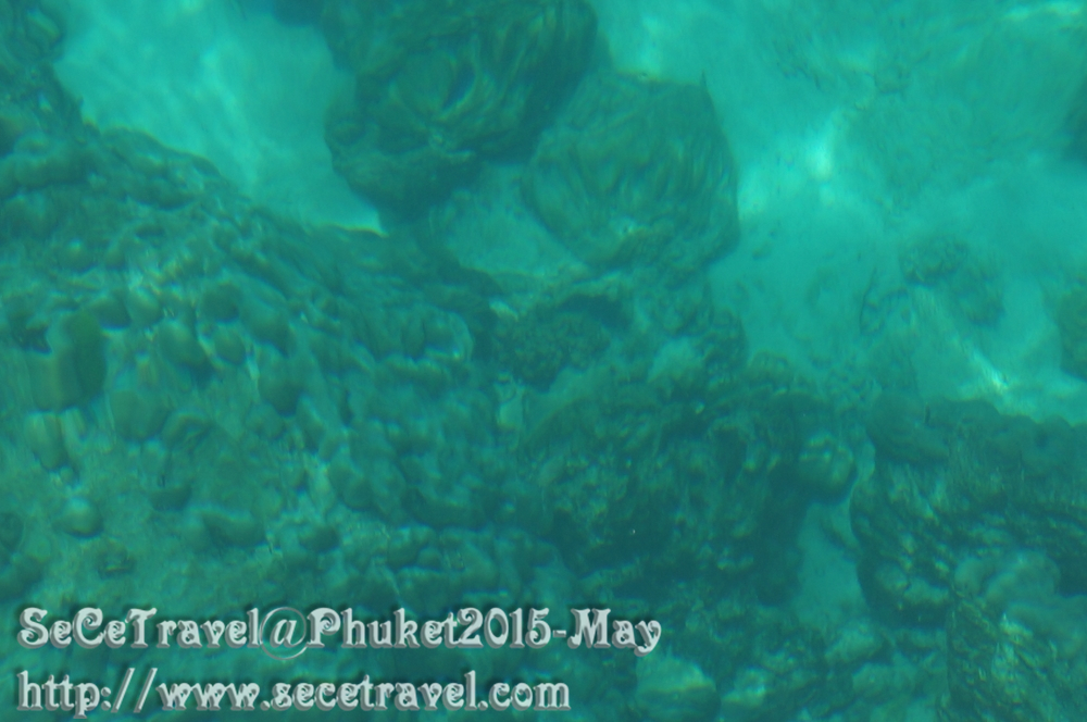 SeCeTravel-20150509-Puket-72