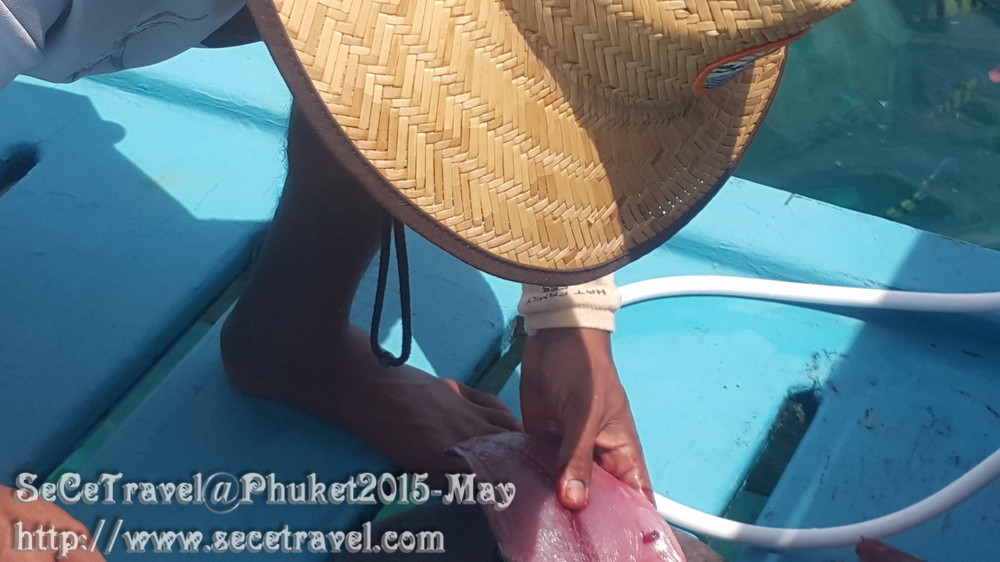 SeCeTravel-20150509-Puket-75