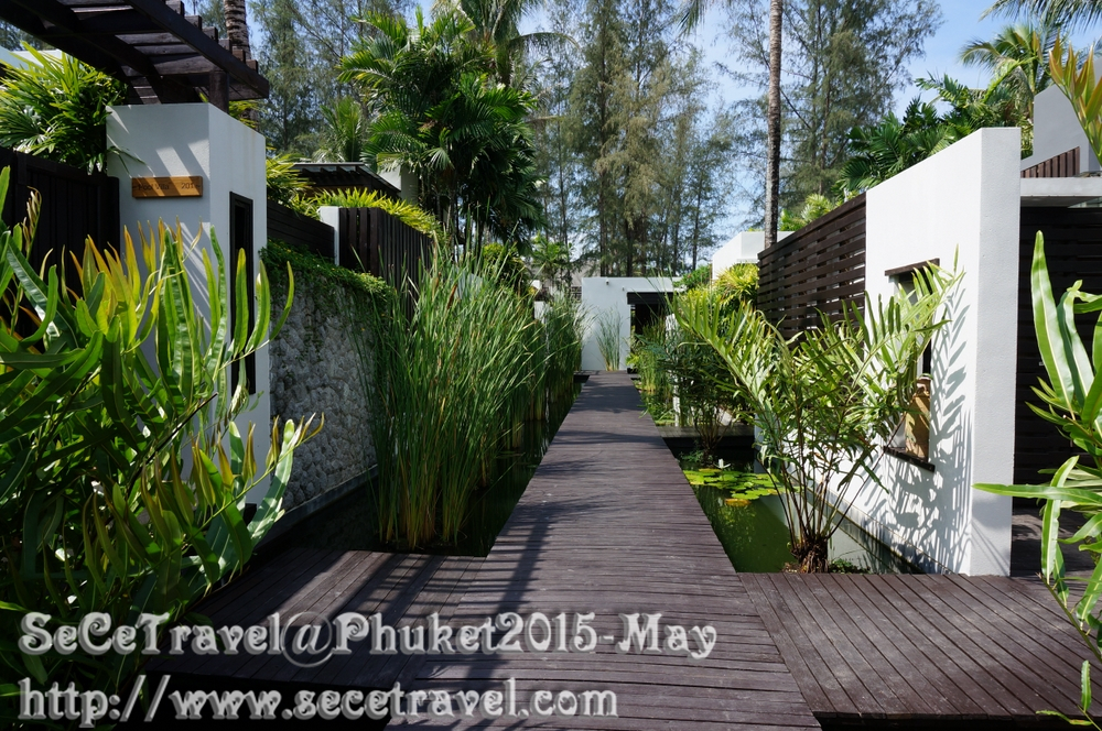 SeCeTravel-Phuket-20150514-25