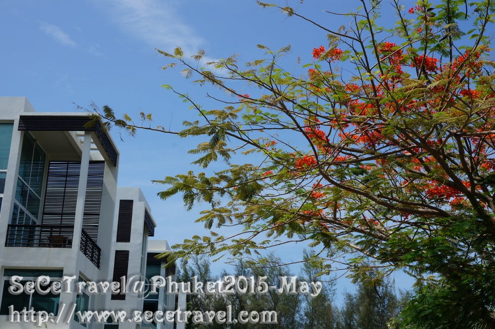 SeCeTravel-Phuket-20150514-60