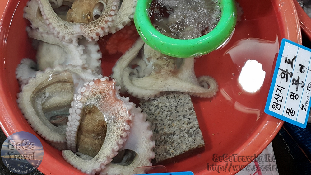 SeCeTravel-20151016-Korea-17