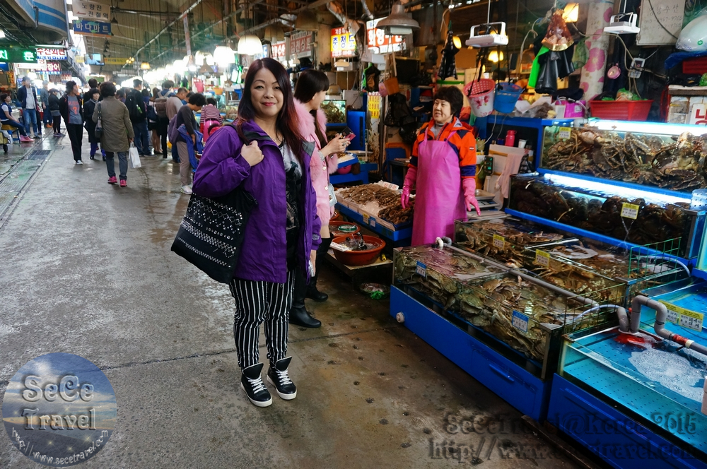 SeCeTravel-20151016-Korea-21