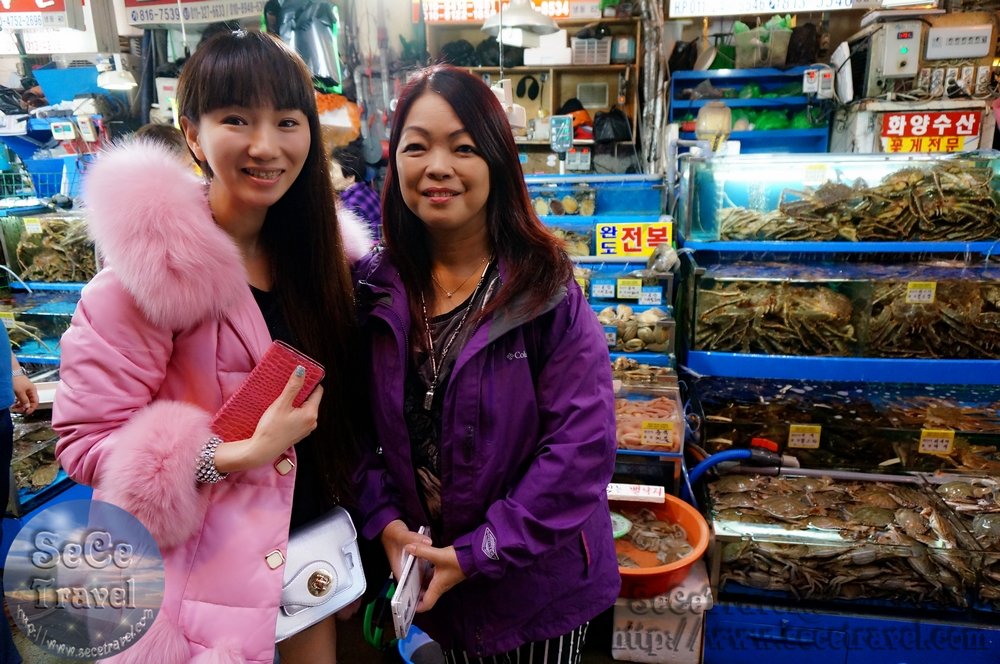 SeCeTravel-20151016-Korea-26
