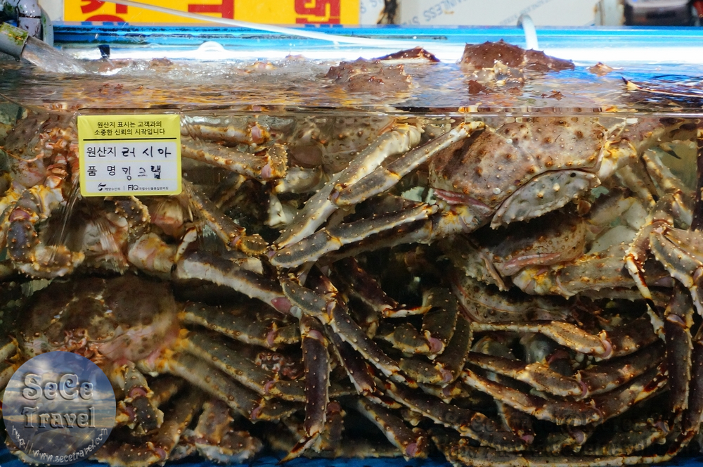 SeCeTravel-20151016-Korea-28