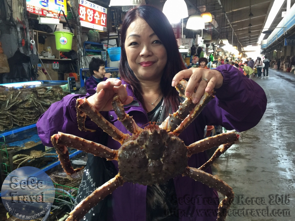SeCeTravel-20151016-Korea-32