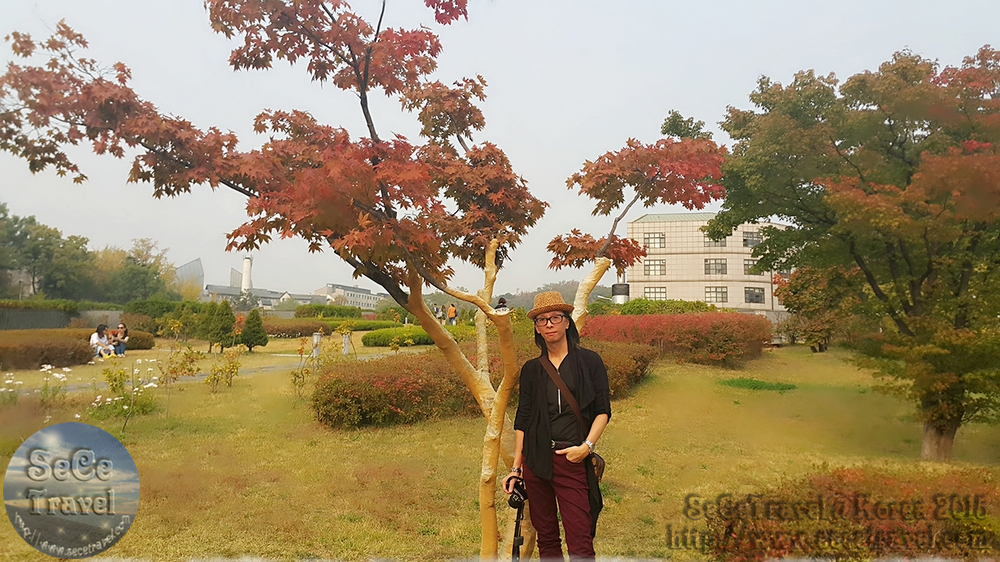 SeCeTravel-20151019-Korea-33