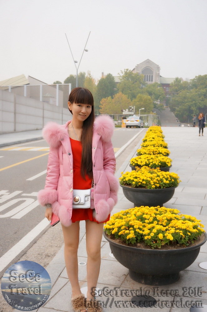 SeCeTravel-20151019-Korea-50