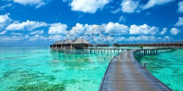 SeCeTravel-$8,899 -- 馬爾代夫 Angsana Resort & Spa Maldives 3 晚套票 豪歎 Pool Villa + Spa-1