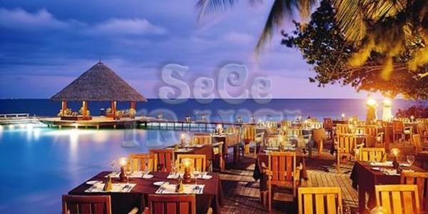 SeCeTravel-$8,899 -- 馬爾代夫 Angsana Resort & Spa Maldives 3 晚套票 豪歎 Pool Villa + Spa-4
