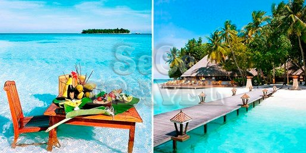 SeCeTravel-$8,899 -- 馬爾代夫 Angsana Resort & Spa Maldives 3 晚套票 豪歎 Pool Villa + Spa-5