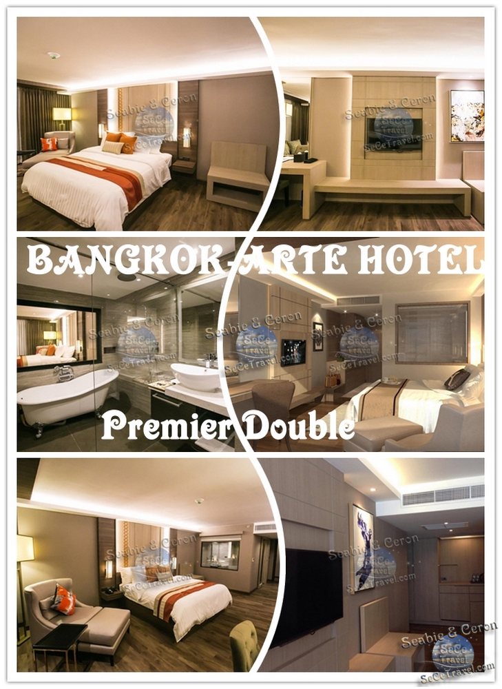 SeCeTravel-BANGKOK-ARTE HOTEL-Premier Double Room