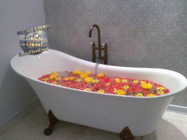 Suite Whirlpool Bathtub-08