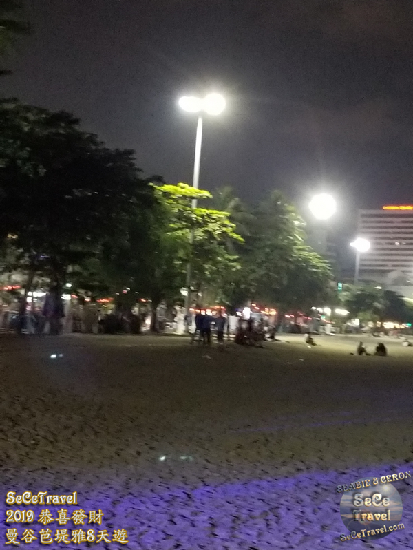 SeCeTravel-2019恭喜發財曼谷芭堤雅8天遊-20190205-6135