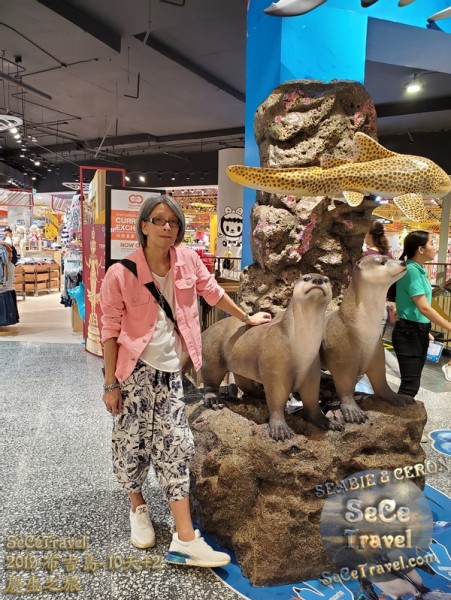 SeCeTravel-2019布吉島10天+2慶生之旅-20191013-2077