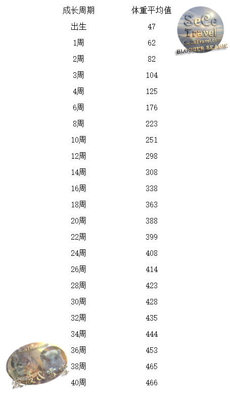 SeCeTravel-Seabie-我的龍貓-20200728-000