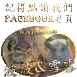波波雪雪l-facebook專頁 logo-250250